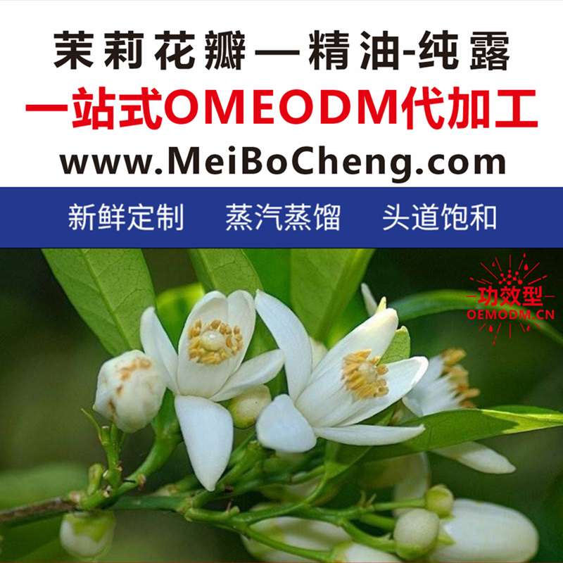 <strong>茉莉</strong>